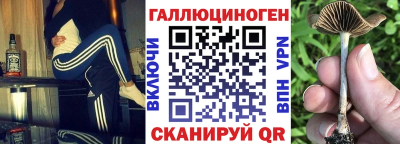 Купить  Оханск  Галлюциногенные грибы мицелий 